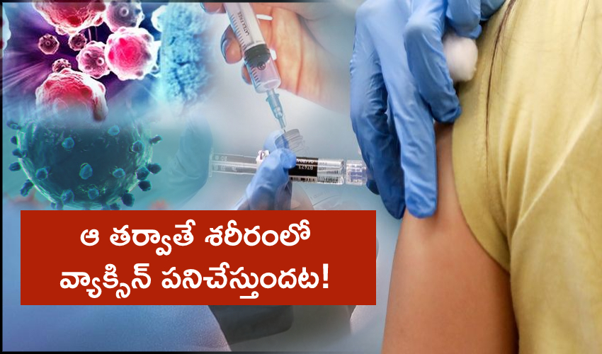 Coronavirus Vaccine Will Work Only After 45days Of Vaccination