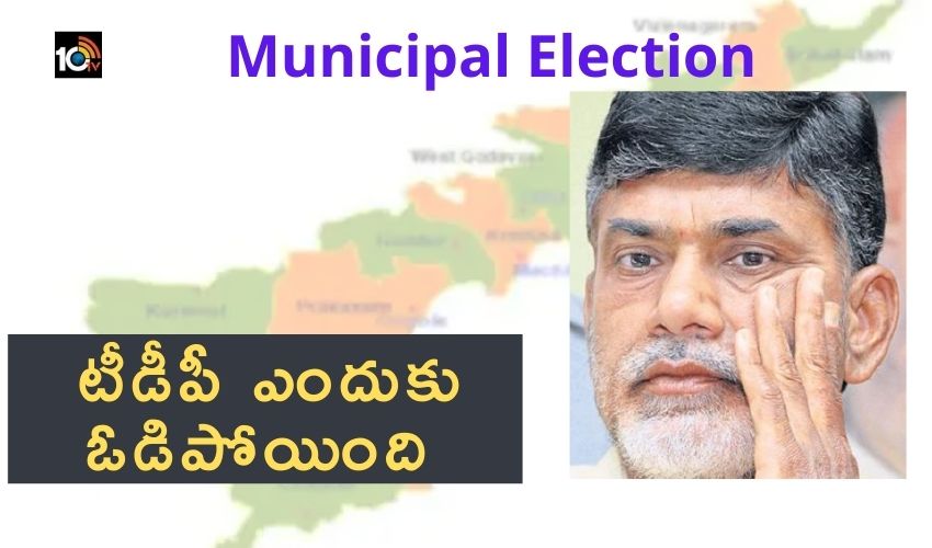 Municipal Election