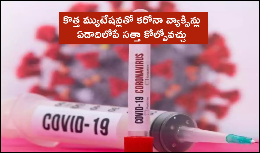Mutations Covid Vaccines