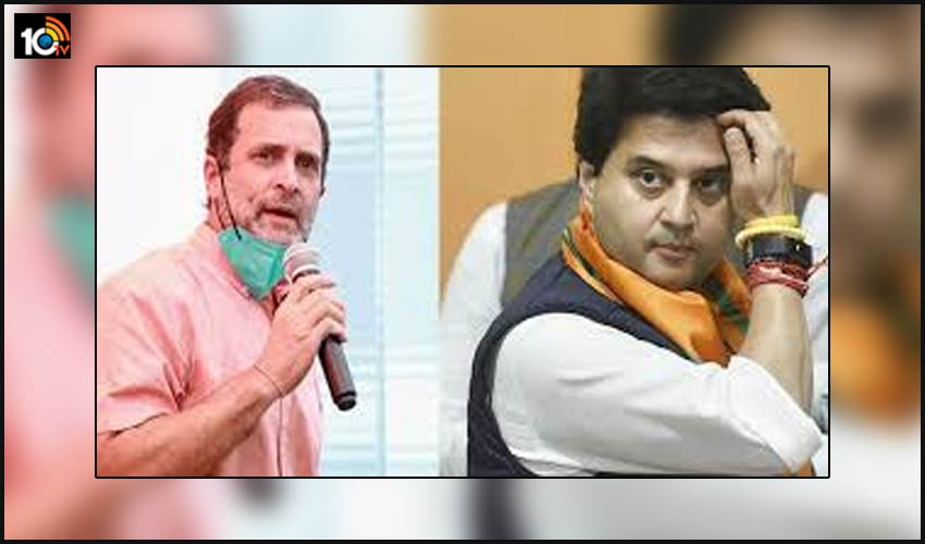 రాహుల్ “బ్యాక్ బెంచర్”కామెంట్ కి సింధియా కౌంటర్..కాంగ్రెస్ లో ఉన్నప్పుడేమైందీ ప్రేమ రాహుల్ “బ్యాక్ బెంచర్”కామెంట్ కి సింధియా కౌంటర్..కాంగ్రెస్ లో ఉన్నప్పుడేమైందీ ప్రేమ