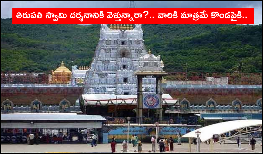 Time Slot Tokens : తిరుపతి స్వామి దర్శనానికి వెళ్తున్నారా?.. వారికి మాత్రమే కొండపైకి అనుమతి Time Slot Tokens : తిరుపతి స్వామి దర్శనానికి వెళ్తున్నారా?.. వారికి మాత్రమే కొండపైకి అనుమతి