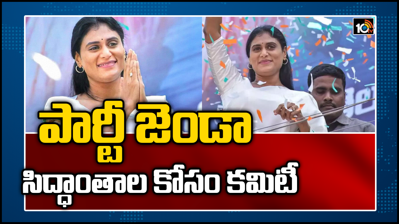 పార్టీ జెండా, సిద్ధాంతాల కోసం కమిటీ