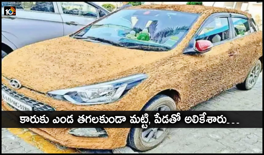 Car Owner Applied To Car With Soil Dung From Saftey From Sun Effect