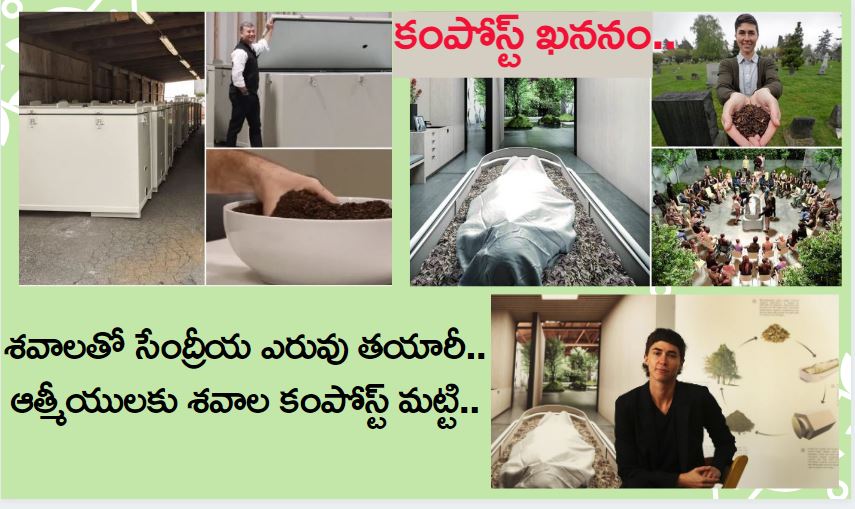 ఖననాల మట్టి : శవాలతో సేంద్రీయ ఎరువు తయారీ..ఆత్మీయులకు శవాలను కంపోస్ట్ మట్టి..మొక్కలు పెంచొచ్చు.. ఖననాల మట్టి : శవాలతో సేంద్రీయ ఎరువు తయారీ..ఆత్మీయులకు శవాలను కంపోస్ట్ మట్టి..మొక్కలు పెంచొచ్చు..