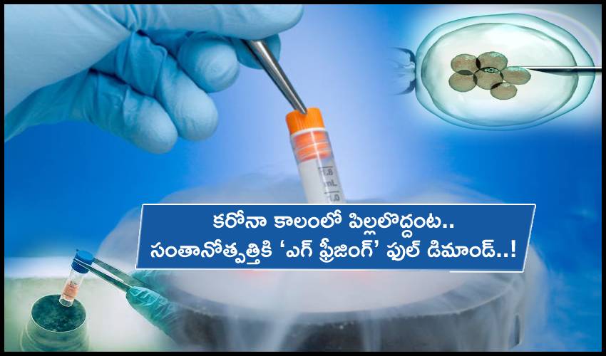 Egg Freezing for Fertility : కరోనా కాలంలో పిల్లలొద్దు.. ఫ్యూచర్లో కనేందుకు ‘ఎగ్ ఫ్రీజింగ్’ చేస్తున్నారు! Egg Freezing for Fertility : కరోనా కాలంలో పిల్లలొద్దు.. ఫ్యూచర్లో కనేందుకు ‘ఎగ్ ఫ్రీజింగ్’ చేస్తున్నారు!