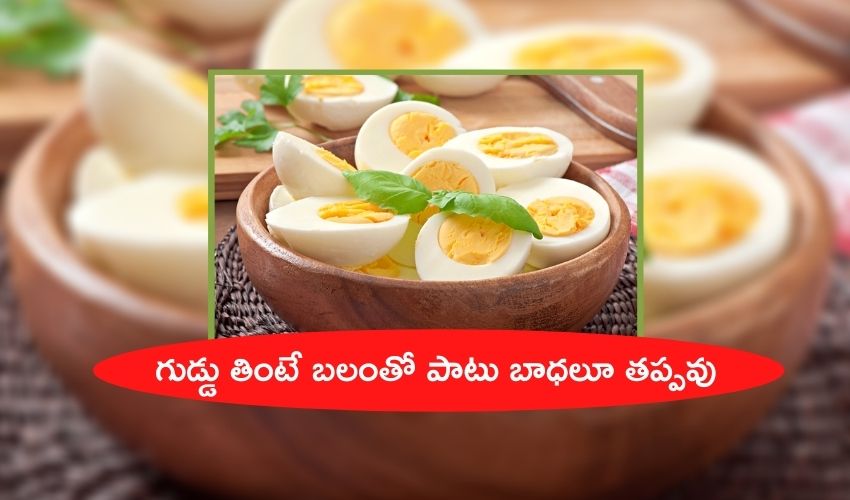 Egg Side Effects