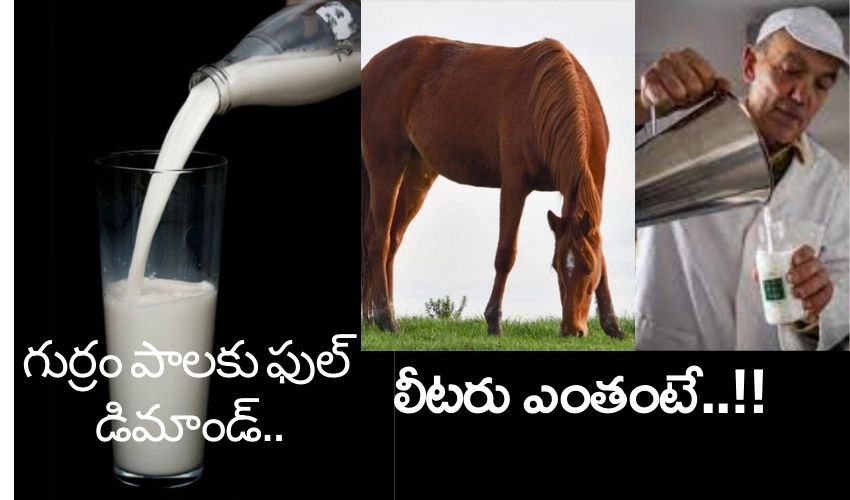 Horse Milk Full Demand