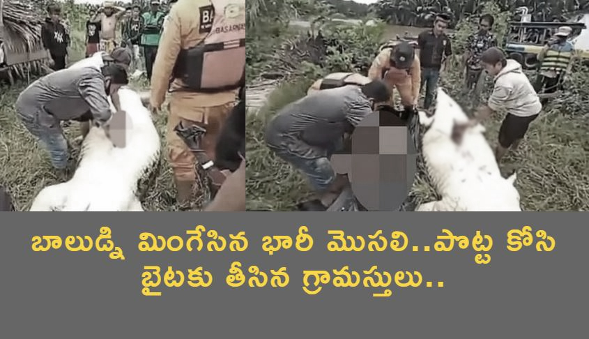బాలుడ్ని మింగేసిన భారీ మొసలి..పొట్ట కోసి బైటకు తీసిన తండ్రి.. బాలుడ్ని మింగేసిన భారీ మొసలి..పొట్ట కోసి బైటకు తీసిన తండ్రి..