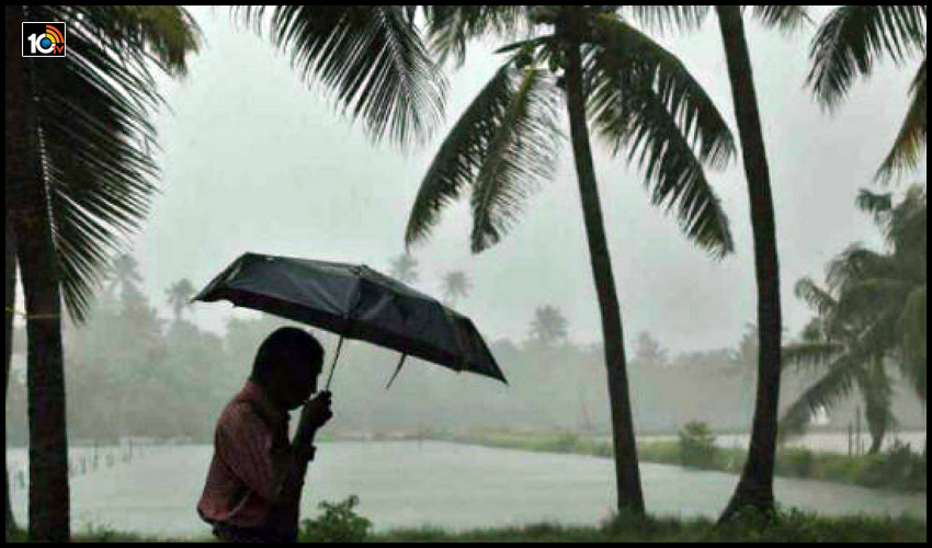 Rains Ts