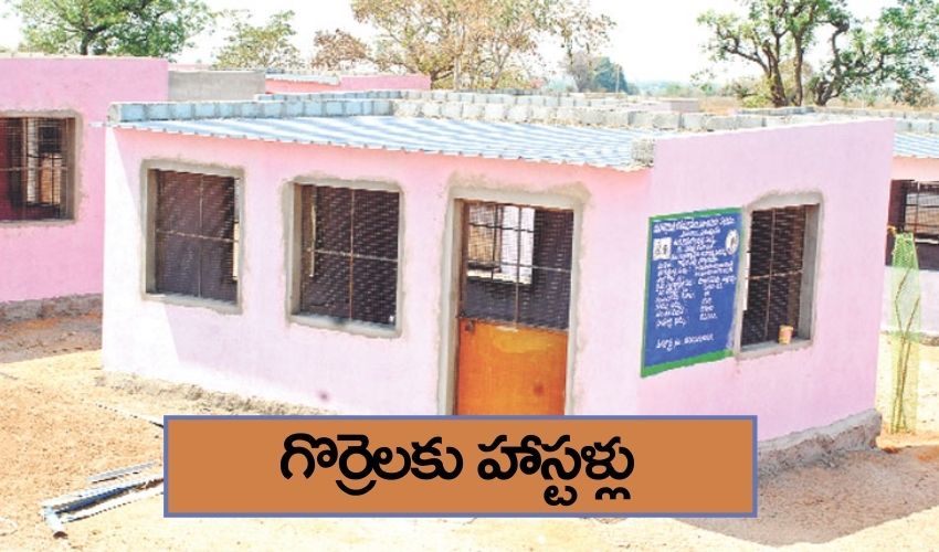 గొర్రెలకు హాస్టళ్లు గొర్రెలకు హాస్టళ్లు
