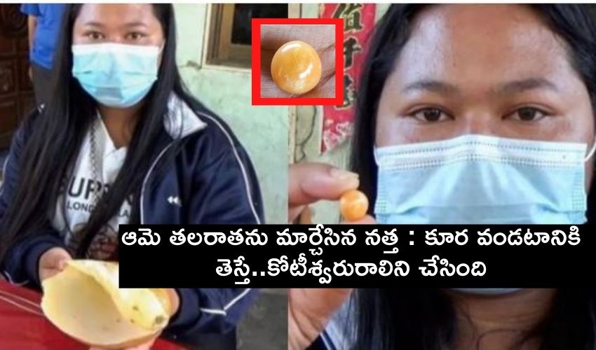 మహిళ తలరాతను మార్చేసిన నత్త : కూర వండటానికి తెస్తే కోటీశ్వరురాలిని చేసింది మహిళ తలరాతను మార్చేసిన నత్త : కూర వండటానికి తెస్తే కోటీశ్వరురాలిని చేసింది