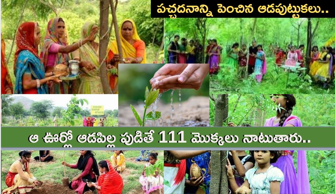 పచ్చదనాన్ని పెంచిన ఆడపుట్టుకలు : ఆ ఊర్లో ఆడపిల్ల పుడితే 111 మొక్కలు నాటుతారు పచ్చదనాన్ని పెంచిన ఆడపుట్టుకలు : ఆ ఊర్లో ఆడపిల్ల పుడితే 111 మొక్కలు నాటుతారు