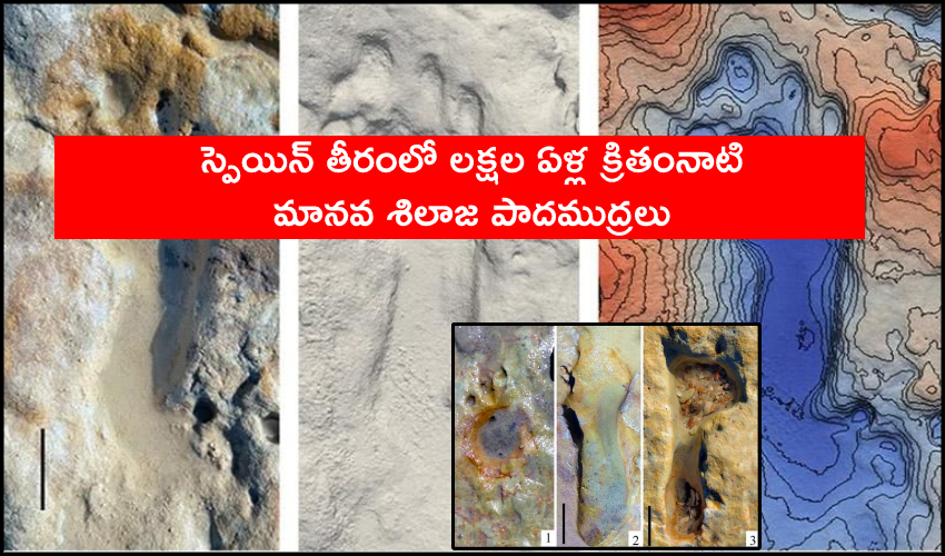 100,000 Year Old Fossilized Footprints
