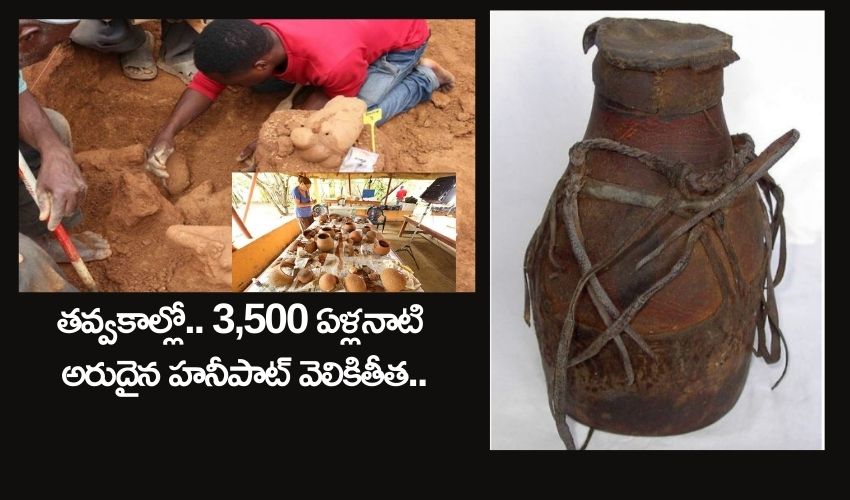 3500 Years Old Honey Pot