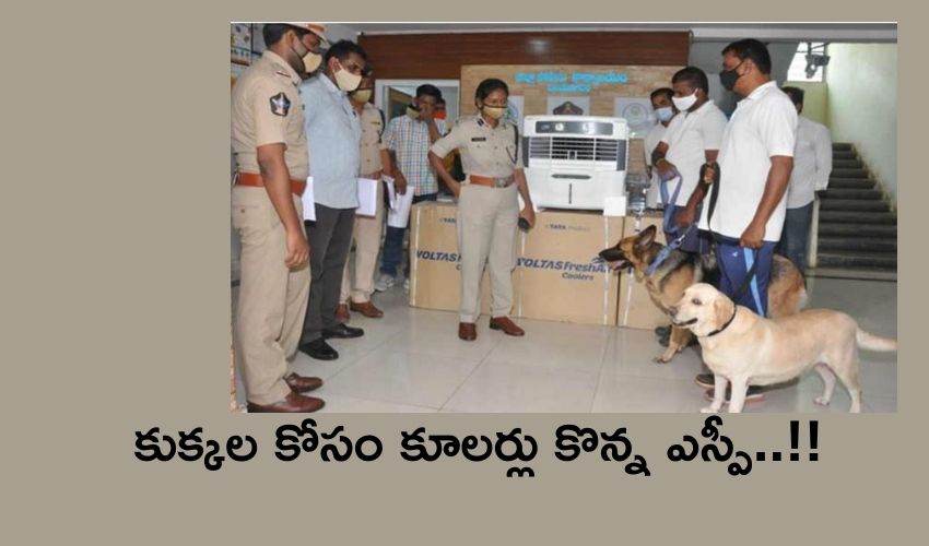 Coolers for Police Dogs: కుక్కల కోసం కూలర్లు కొన్న ఎస్పీ..! Coolers for Police Dogs: కుక్కల కోసం కూలర్లు కొన్న ఎస్పీ..!