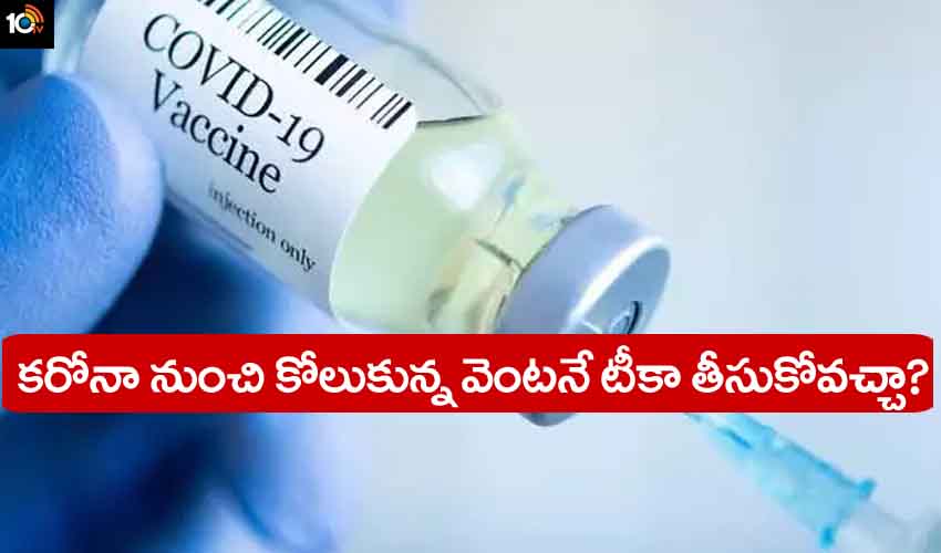 Covid Vaccine : కరోనా నుంచి కోలుకున్న వెంటనే వ్యాక్సిన్ తీసుకోవచ్చా? 6నెలల వరకు భయం లేదా? Covid Vaccine : కరోనా నుంచి కోలుకున్న వెంటనే వ్యాక్సిన్ తీసుకోవచ్చా? 6నెలల వరకు భయం లేదా?