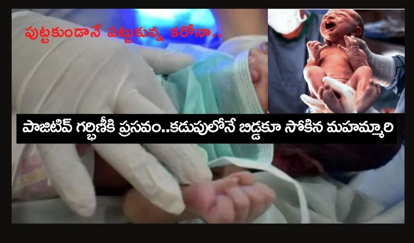 Positive for Just Born Baby : పుట్టకుండానే పట్టుకున్న కరోనా : పాజిటివ్ గర్భిణీకి ప్రసవం..కడుపులోనే బిడ్డకూ సోకిన మహమ్మారి Positive for Just Born Baby : పుట్టకుండానే పట్టుకున్న కరోనా : పాజిటివ్ గర్భిణీకి ప్రసవం..కడుపులోనే బిడ్డకూ సోకిన మహమ్మారి