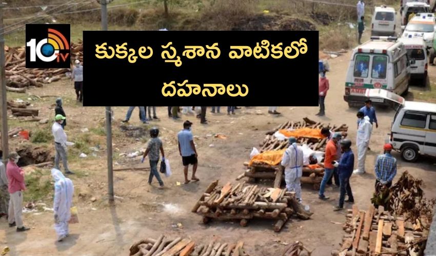 Delhi : ఢిల్లీలో కరోనా..కుక్కల స్మశాన వాటికలో దహనాలు Delhi : ఢిల్లీలో కరోనా..కుక్కల స్మశాన వాటికలో దహనాలు