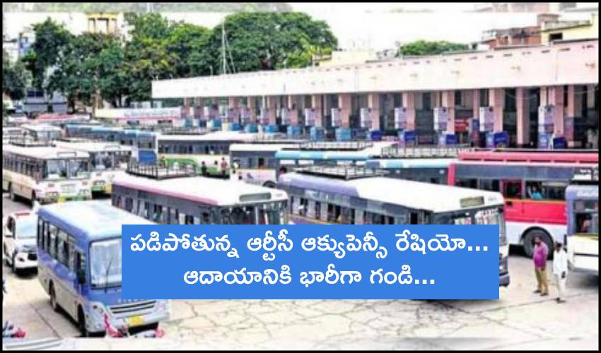 Occupancy Ratio RTC : పడిపోతున్న ఆర్టీసీ ఆక్యుపెన్సీ రేషియో… ఆదాయానికి భారీగా గండి… Occupancy Ratio RTC : పడిపోతున్న ఆర్టీసీ ఆక్యుపెన్సీ రేషియో… ఆదాయానికి భారీగా గండి…