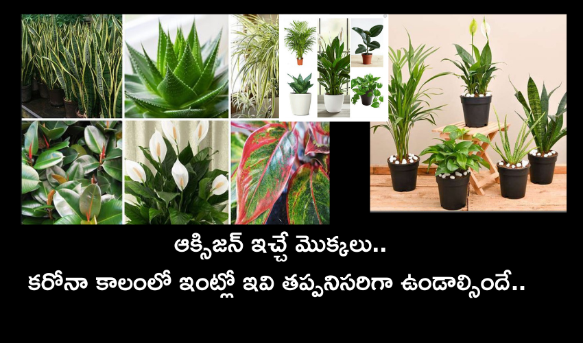 Oxygen Plants