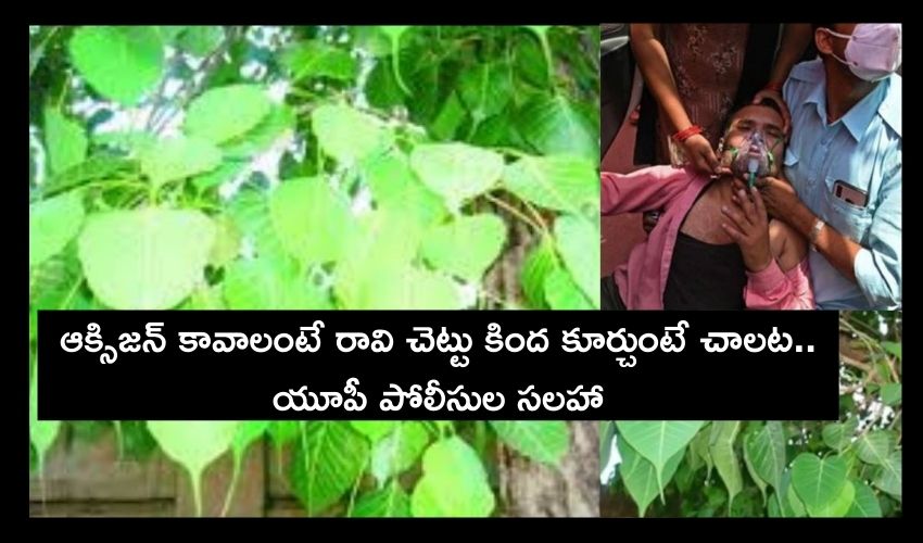Sit Under Pipal Tree For Oxygen (1)