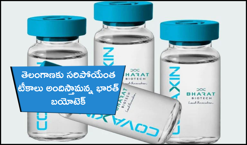 Will Give More Than Enough Vaccines For Telangana, Says Bharth Biotech