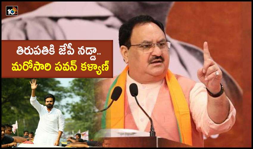 Bjp National Leader Jp Nadda To Campaign In Tirupati