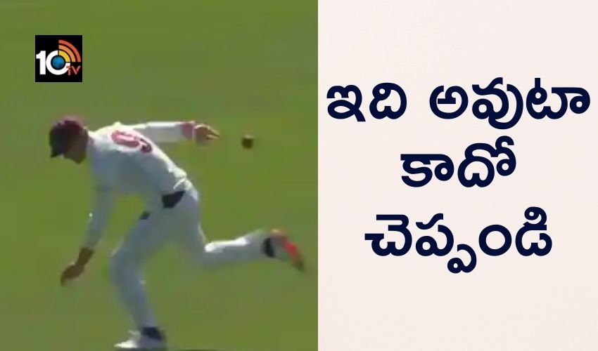 Steve Waugh