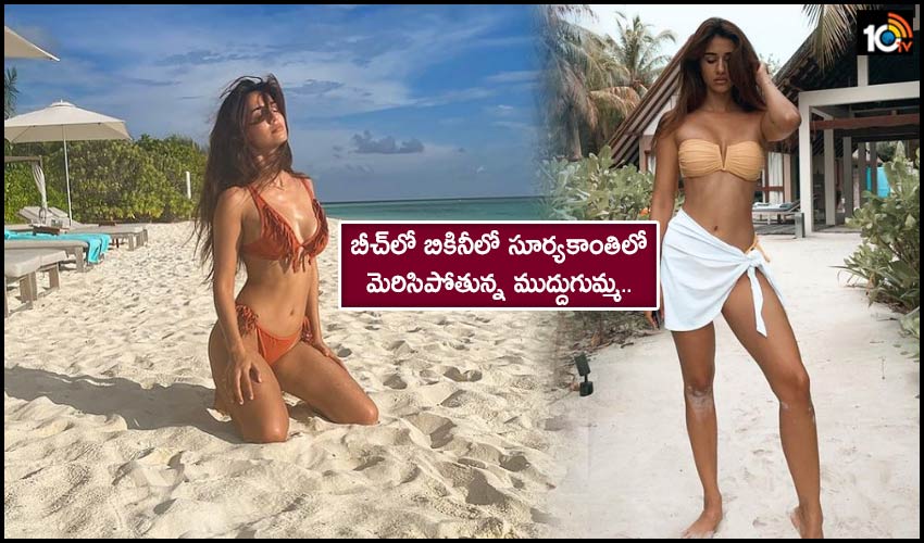 Disha Patani Posts Bikini Pic From Maldives Trip