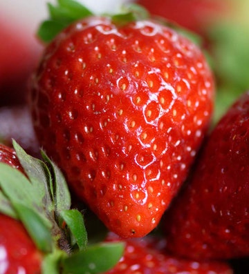 Most Expensive Fruits4