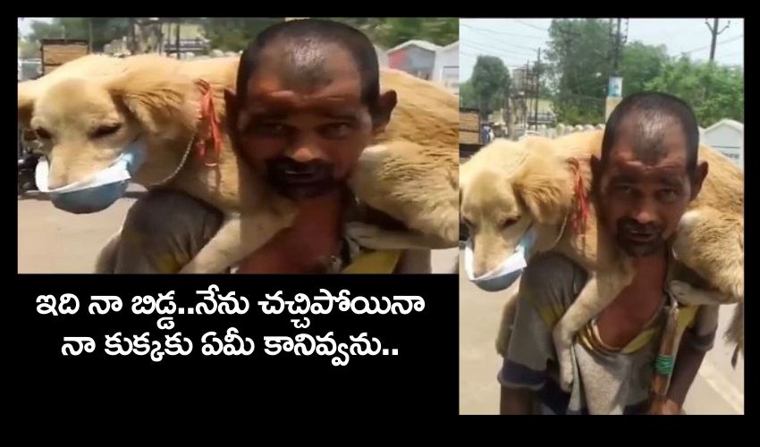 ఒక్క మాస్కే ఉంది..నా ప్రాణం పోయినా ఫర్వాలేదు..నా కుక్క బతకాలే ఒక్క మాస్కే ఉంది..నా ప్రాణం పోయినా ఫర్వాలేదు..నా కుక్క బతకాలే