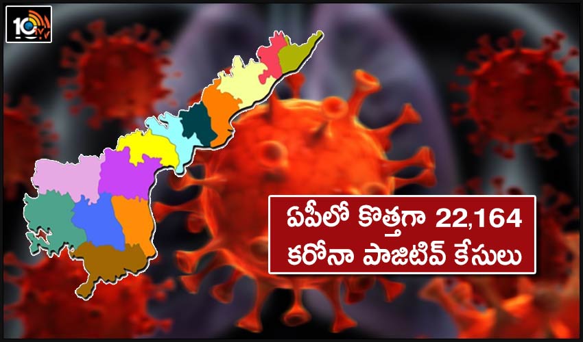 22164 New Corona Positive Cases In Ap