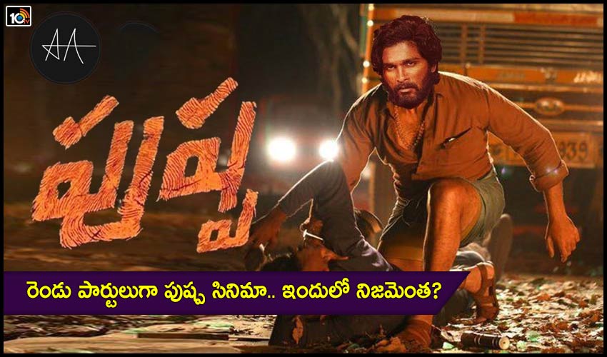 Allu Arjun Pushpa