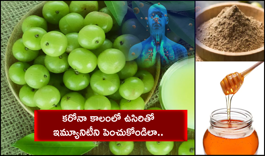 Amla Immune Booster : కరోనా కాలంలో ఉసిరితో ఇమ్యూనిటీని పెంచుకోండిలా.. Amla Immune Booster : కరోనా కాలంలో ఉసిరితో ఇమ్యూనిటీని పెంచుకోండిలా..