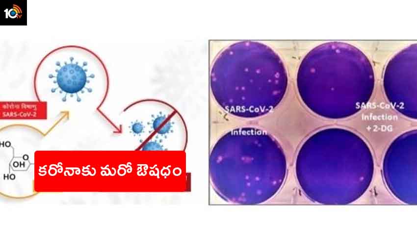 Anti Covid Drug 2 Dg