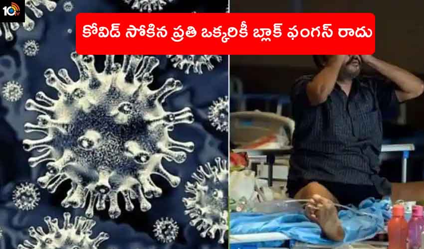Black Fungus : భయపడొద్దు.. కోవిడ్ సోకిన ప్రతి ఒక్కరికి బ్లాక్ ఫంగస్ రాదు Black Fungus : భయపడొద్దు.. కోవిడ్ సోకిన ప్రతి ఒక్కరికి బ్లాక్ ఫంగస్ రాదు