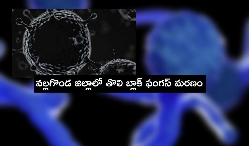 Black Fungus Death