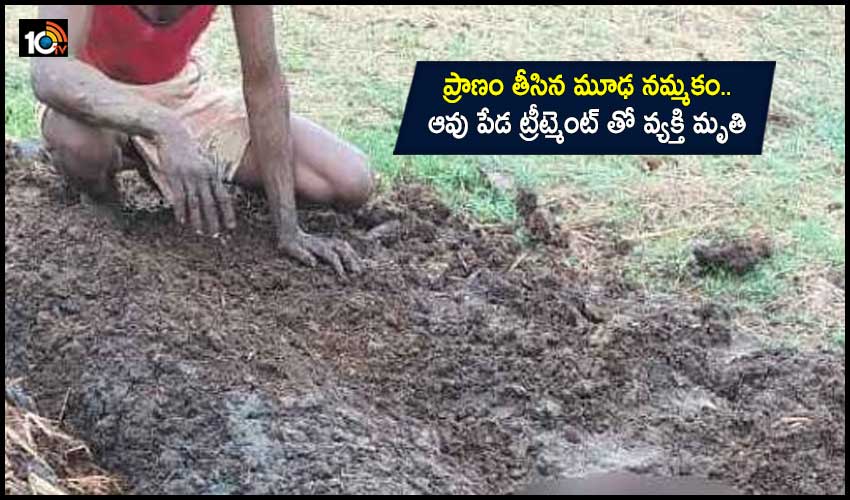 Cow Dung Treatment
