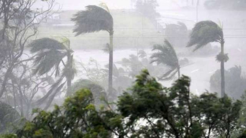 Chennai Rains : వణుకుతున్న తమిళనాడు.. తుఫాన్ కుమ్మేస్తోంది Chennai Rains : వణుకుతున్న తమిళనాడు.. తుఫాన్ కుమ్మేస్తోంది