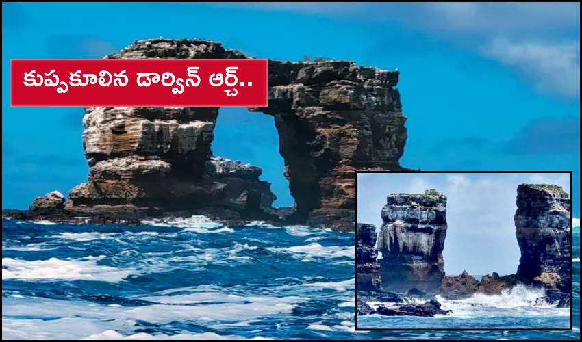 Famed Darwin’s Arch In Galapagos Islands Collapses Due To Erosion, Officials Say (1)