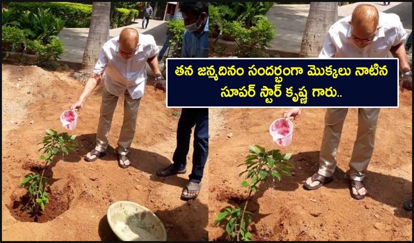 Green India Challenge : తన జన్మదినం సందర్భంగా మొక్కలు నాటిన సూపర్ స్టార్ కృష్ణ గారు.. Green India Challenge : తన జన్మదినం సందర్భంగా మొక్కలు నాటిన సూపర్ స్టార్ కృష్ణ గారు..