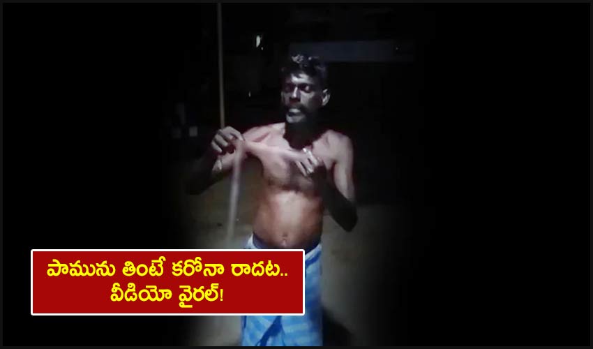 Man Eat Snake: పామును తింటే కరోనా రాదట.. వీడియో వైరల్! Man Eat Snake: పామును తింటే కరోనా రాదట.. వీడియో వైరల్!