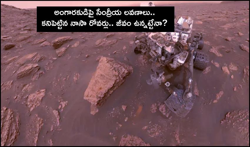 Nasa Collects Organic Salts On Mars (1)