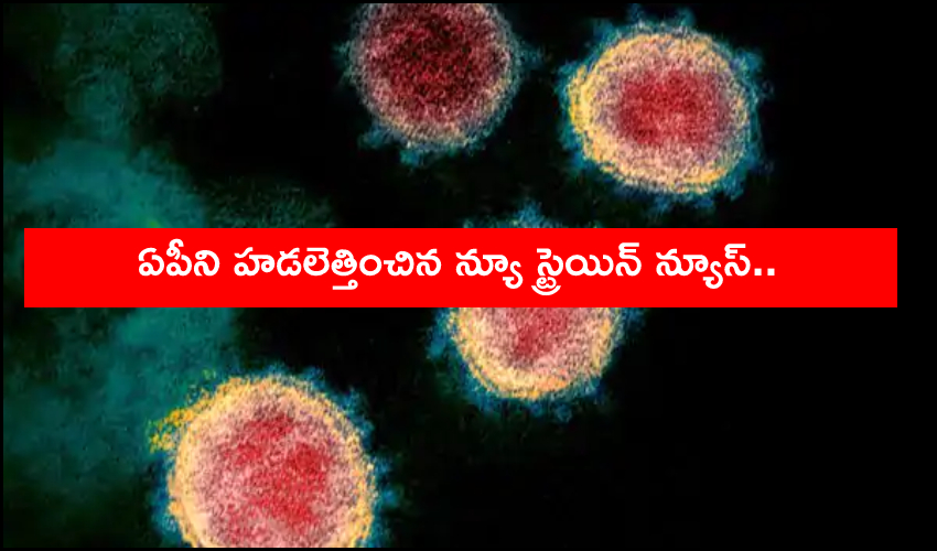 New Strain News To Scared Andhra Pradesh People Covid Cases Surge