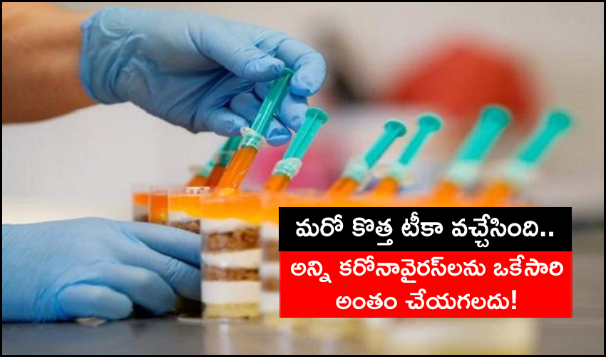 New Vaccine Candidate Blocks Novel Coronavirus, Variants In The Animal Study