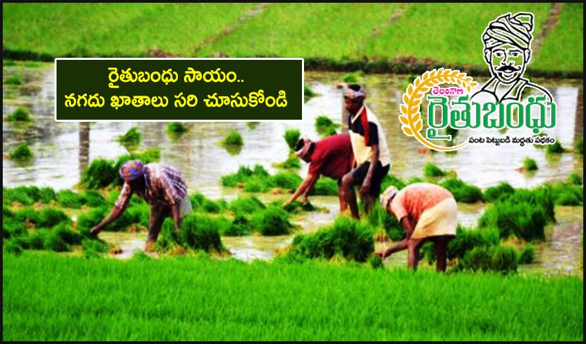 Rythu Bandhu Scheme: రైతుబంధు సాయం.. నగదు ఖాతాలు సరి చూసుకోండి Rythu Bandhu Scheme: రైతుబంధు సాయం.. నగదు ఖాతాలు సరి చూసుకోండి