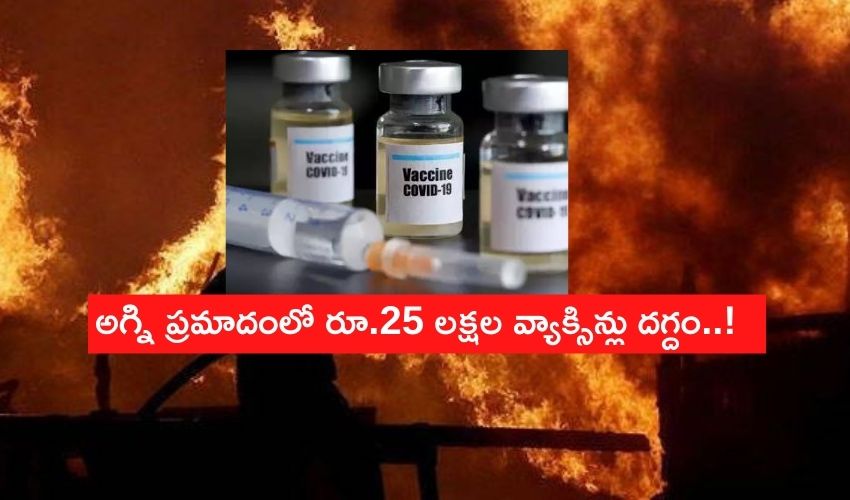 సీరమ్స్ వ్యాక్సిన్స్ గోడౌన్లో అగ్నిప్రమాదం..రూ.25 లక్షల వ్యాక్సిన్లు దగ్దం సీరమ్స్ వ్యాక్సిన్స్ గోడౌన్లో అగ్నిప్రమాదం..రూ.25 లక్షల వ్యాక్సిన్లు దగ్దం