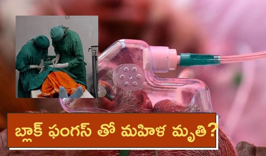West Bengal : బ్లాక్ ఫంగస్ తో మహిళ మృతి ?, తొలి కేసు ? West Bengal : బ్లాక్ ఫంగస్ తో మహిళ మృతి ?, తొలి కేసు ?