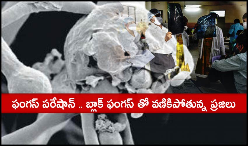 Black Fungus Fear In Andhratelangana States