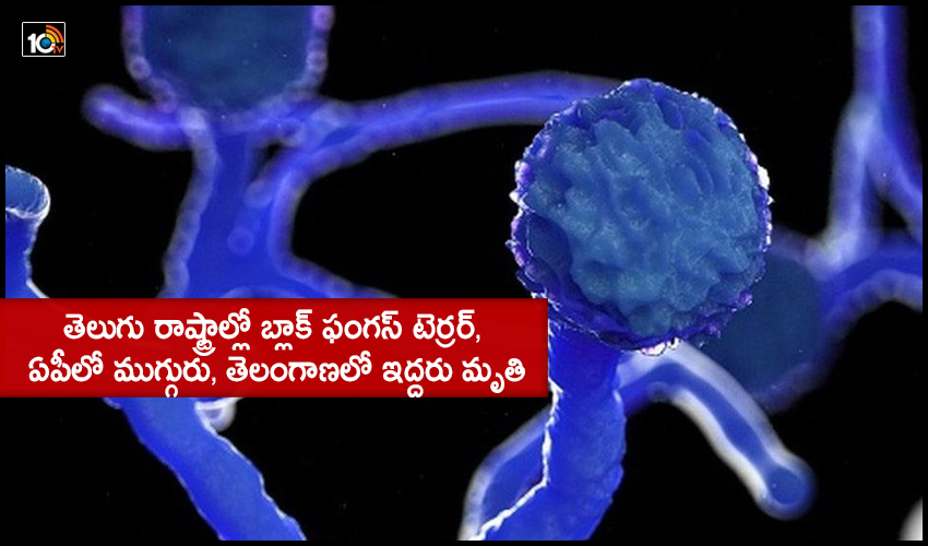 Black Fungus Terror In Telugu States